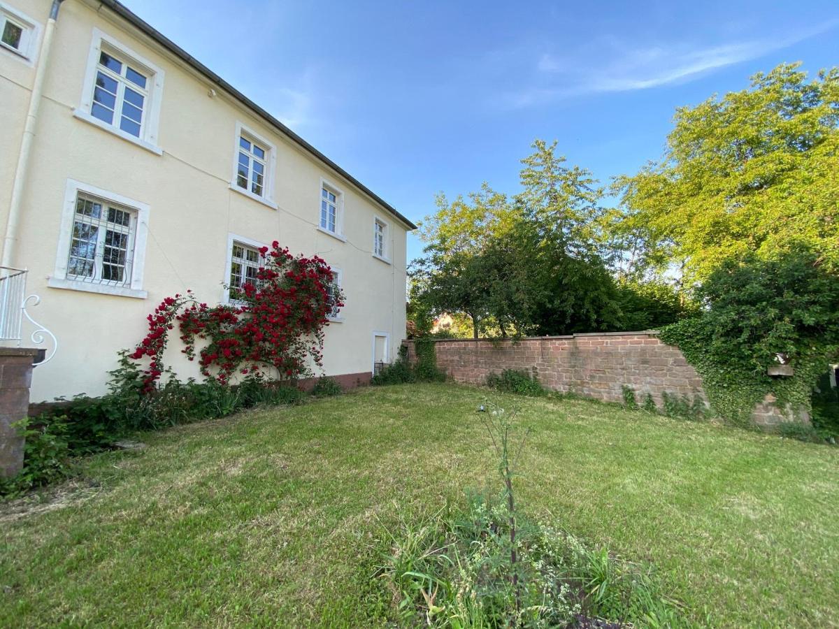 Schloss Hainfeld ภายนอก รูปภาพ
