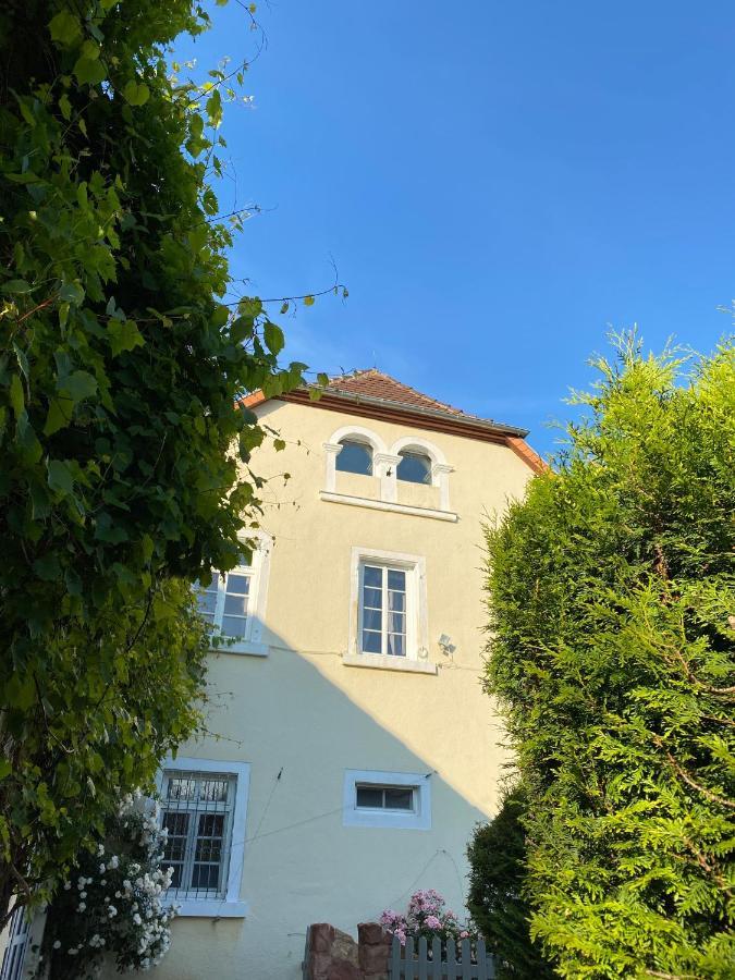 Schloss Hainfeld ภายนอก รูปภาพ